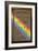 Newton's Opticks with Colour Spectrum-David Parker-Framed Photographic Print