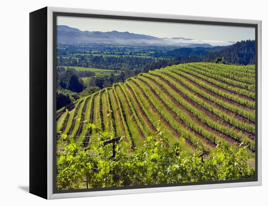 Newton Vineyard, Napa Valley, California, Usa-Janis Miglavs-Framed Premier Image Canvas