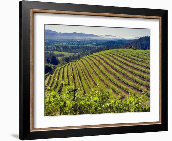 Newton Vineyard, Napa Valley, California, Usa-Janis Miglavs-Framed Photographic Print