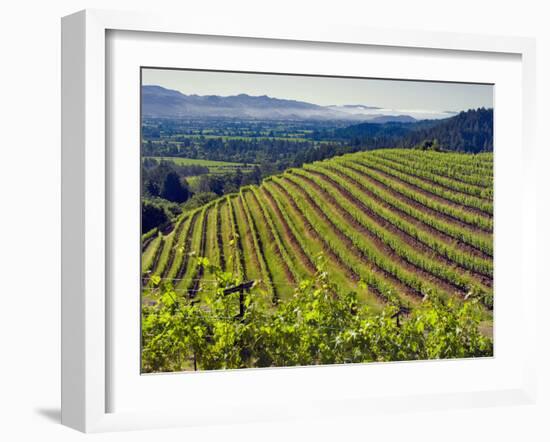 Newton Vineyard, Napa Valley, California, Usa-Janis Miglavs-Framed Photographic Print