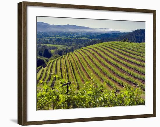 Newton Vineyard, Napa Valley, California, Usa-Janis Miglavs-Framed Photographic Print