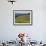 Newton Vineyard, Napa Valley, California, Usa-Janis Miglavs-Framed Photographic Print displayed on a wall