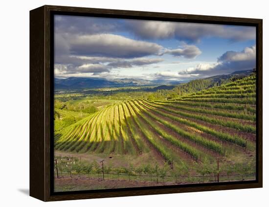 Newton Vineyard, Napa Valley, California, Usa-Janis Miglavs-Framed Premier Image Canvas