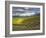 Newton Vineyard, Napa Valley, California, Usa-Janis Miglavs-Framed Photographic Print