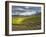 Newton Vineyard, Napa Valley, California, Usa-Janis Miglavs-Framed Photographic Print