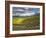 Newton Vineyard, Napa Valley, California, Usa-Janis Miglavs-Framed Photographic Print