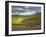 Newton Vineyard, Napa Valley, California, Usa-Janis Miglavs-Framed Photographic Print