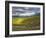 Newton Vineyard, Napa Valley, California, Usa-Janis Miglavs-Framed Photographic Print