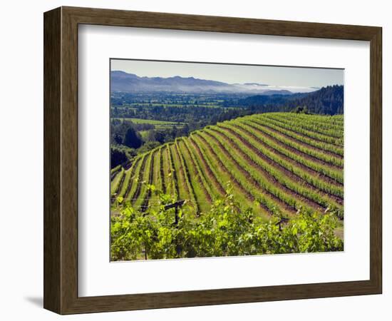 Newton Vineyard, Napa Valley, California, Usa-Janis Miglavs-Framed Photographic Print