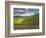 Newton Vineyard, Napa Valley, California, Usa-Janis Miglavs-Framed Photographic Print