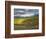 Newton Vineyard, Napa Valley, California, Usa-Janis Miglavs-Framed Photographic Print