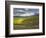 Newton Vineyard, Napa Valley, California, Usa-Janis Miglavs-Framed Photographic Print