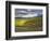 Newton Vineyard, Napa Valley, California, Usa-Janis Miglavs-Framed Photographic Print