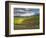 Newton Vineyard, Napa Valley, California, Usa-Janis Miglavs-Framed Photographic Print