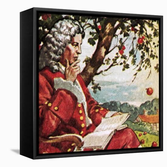 Newton Watching Apples Fall-English School-Framed Premier Image Canvas