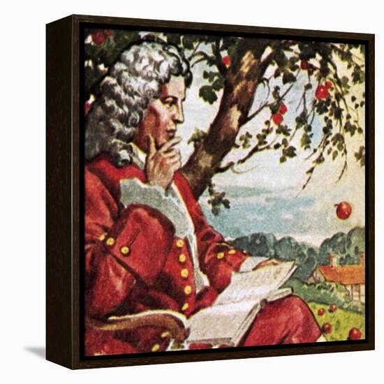 Newton Watching Apples Fall-English School-Framed Premier Image Canvas