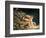 Newton-William Blake-Framed Giclee Print