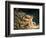 Newton-William Blake-Framed Giclee Print