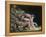 Newton-William Blake-Framed Premier Image Canvas