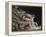 Newton-William Blake-Framed Premier Image Canvas