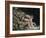 Newton-William Blake-Framed Giclee Print