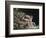 Newton-William Blake-Framed Premium Giclee Print