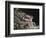 Newton-William Blake-Framed Giclee Print