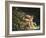 Newton-William Blake-Framed Giclee Print