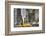 Newyork City Cabs-null-Framed Premium Giclee Print