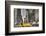 Newyork City Cabs-null-Framed Premium Giclee Print