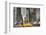 Newyork City Cabs-null-Framed Premium Giclee Print