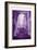 Next Violet Block-Milli Villa-Framed Premium Giclee Print