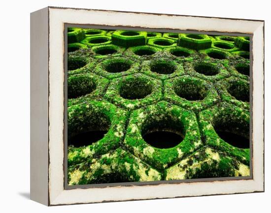 Nexus-Doug Chinnery-Framed Premier Image Canvas