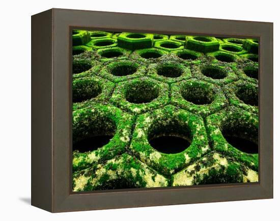 Nexus-Doug Chinnery-Framed Premier Image Canvas