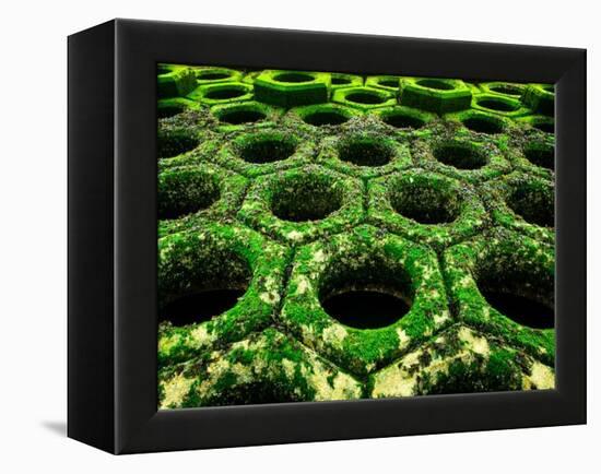 Nexus-Doug Chinnery-Framed Premier Image Canvas