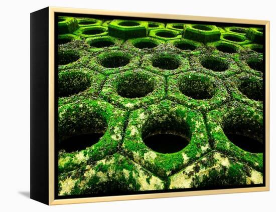 Nexus-Doug Chinnery-Framed Premier Image Canvas