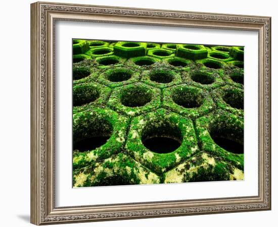 Nexus-Doug Chinnery-Framed Photographic Print