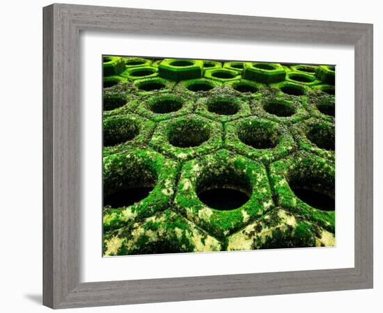 Nexus-Doug Chinnery-Framed Photographic Print