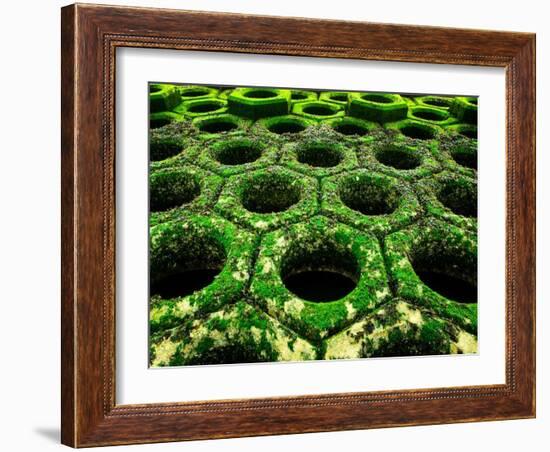 Nexus-Doug Chinnery-Framed Photographic Print