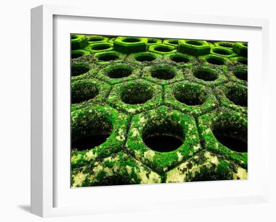 Nexus-Doug Chinnery-Framed Photographic Print