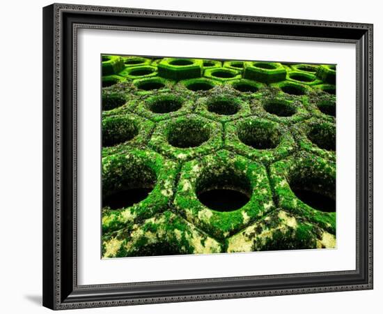 Nexus-Doug Chinnery-Framed Photographic Print