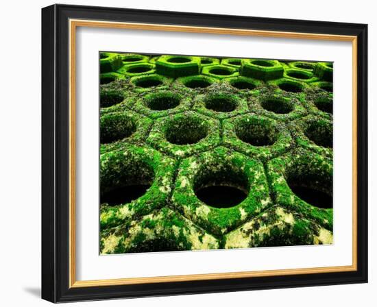 Nexus-Doug Chinnery-Framed Photographic Print