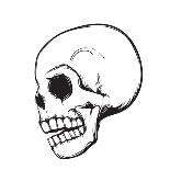 Skull, Side View, Isolated on White, Vector Illustration-nexusby-Art Print