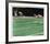 NFL Super Bowl XII-Merv Corning-Framed Limited Edition