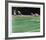 NFL Super Bowl XII-Merv Corning-Framed Limited Edition