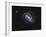 NGC 1300 is a Barred Spiral Galaxy-Stocktrek Images-Framed Photographic Print