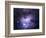 NGC 1977 is a Reflection Nebula Northeast of the Orion Nebula-Stocktrek Images-Framed Photographic Print