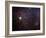 NGC 1999 Is a Dust Filled Bright Nebula-Stocktrek Images-Framed Photographic Print