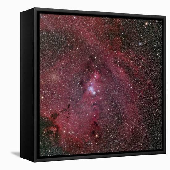 NGC 2264, the Cone and Christmas Tree Nebula-Stocktrek Images-Framed Premier Image Canvas
