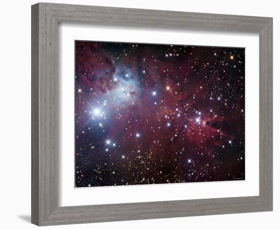 NGC 2264, the Cone Nebula Region-Stocktrek Images-Framed Photographic Print